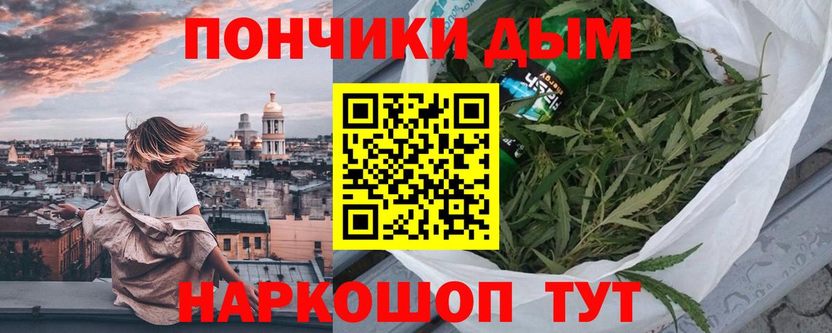 Курчатов  Каннабис сатива  Вход с VPN  Каннабис сатива 